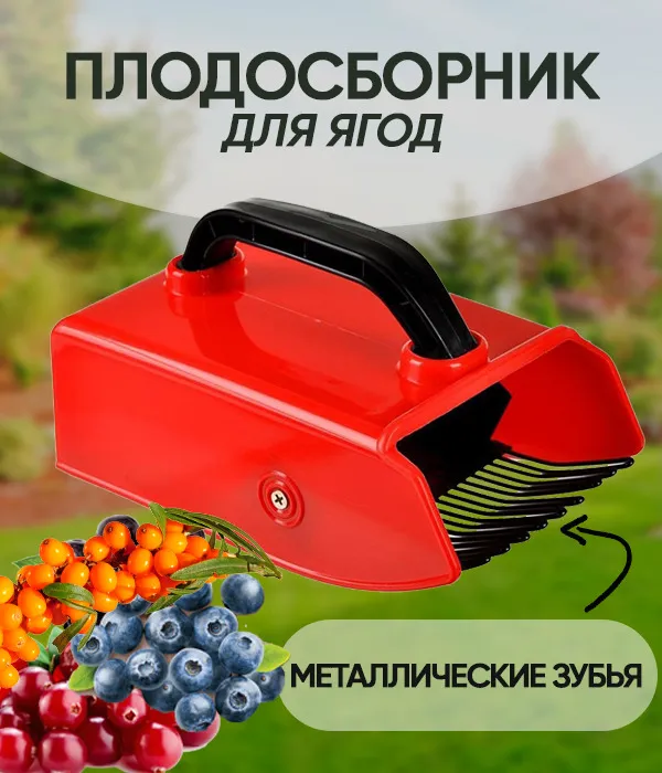 Spa ProBrush